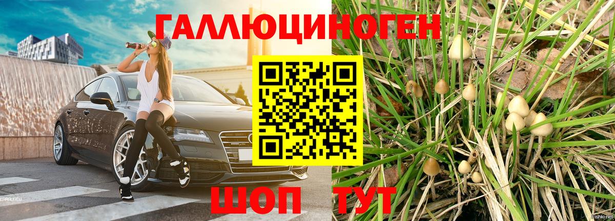 Галлюциногенные грибы Cubensis  Вход с VPN  Зеленокумск  Галлюциногенные грибы GOLDEN TEACHER 